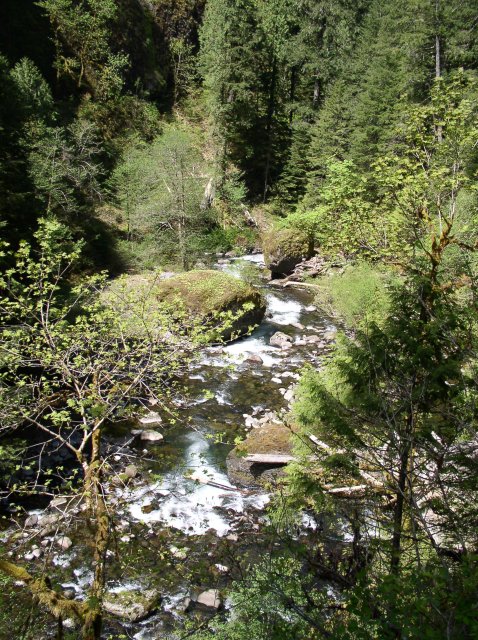 5.5.06 Eagle Creek 036 